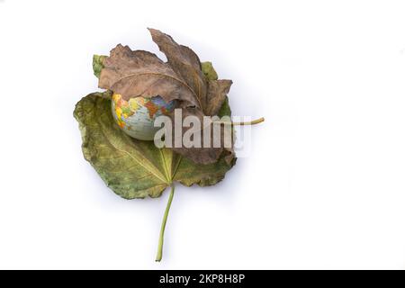 Petit modèle globe placé entre deux grandes feuilles d'automne Banque D'Images