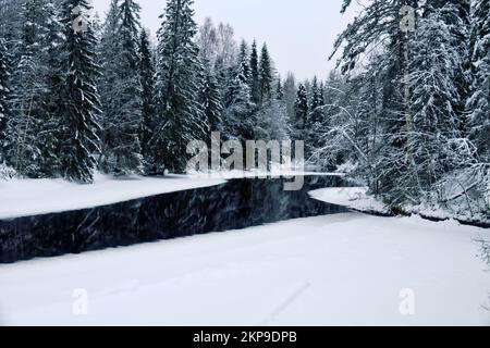 L'hiver, la rivière à lits étagés non gelés dans les berges enneigées. Europe du Nord Banque D'Images