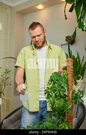 Homme jardinier pulvérisation, arroser le pot Schefflera à la maison, prendre soin des plantes de maison, la verdure à la maison, l'amour des plantes, intérieur confortable jardin. Banque D'Images