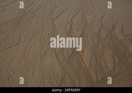 Motif sur une plage de sable humide. texture du sable. Banque D'Images