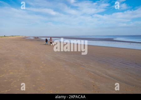 Plage de Cleethorpes avec vieux bois groynes défense de mer Banque D'Images