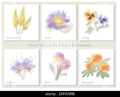 Jeu d'illustrations vectorielles de fleurs aquarelle. Illustration de Vecteur