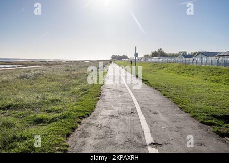 Plage de Cleethorpes avec vieux bois groynes défense de mer Banque D'Images