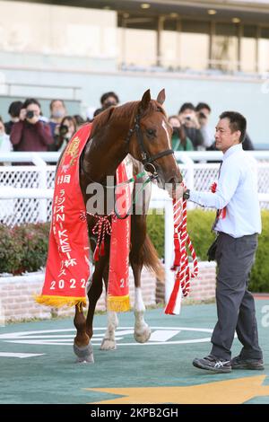 Hyogo, Japon. 26th novembre 2022. Gruner Green a remporté les enjeux de radio Nikkei Hai Kyoto Nisai à l'hippodrome de Hanshin à Hyogo, Japon, 26 novembre 2022. Crédit: Eiichi Yamane/AFLO/Alay Live News Banque D'Images