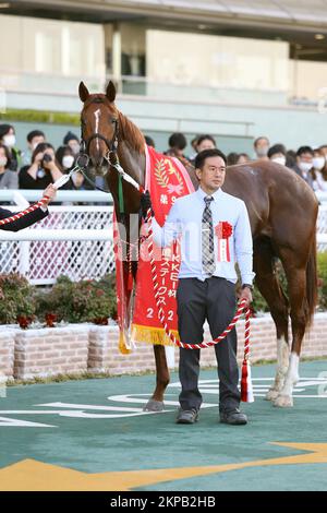 Hyogo, Japon. 26th novembre 2022. Gruner Green a remporté les enjeux de radio Nikkei Hai Kyoto Nisai à l'hippodrome de Hanshin à Hyogo, Japon, 26 novembre 2022. Crédit: Eiichi Yamane/AFLO/Alay Live News Banque D'Images