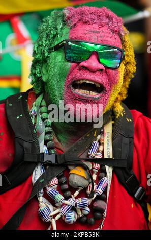 Al Wakrah, Qatar. 28th novembre 2022. Un fan réagit avant le match du Groupe G entre la Serbie et le Cameroun lors de la coupe du monde de la FIFA 2022 au stade Al Janoub à Al Wakrah, Qatar, le 28 novembre 2022. Credit: Meng Dingbo/Xinhua/Alay Live News Banque D'Images