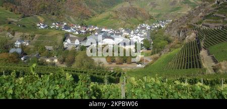 Village viticole de Mayschoss avant l'inondation 2021,Ahrtal,Rhénanie-Palatinat,Allemagne Banque D'Images