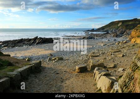 La plage de Dollar Cove, Gunwalloe, Cornwall, Royaume-Uni - John Gollop Banque D'Images