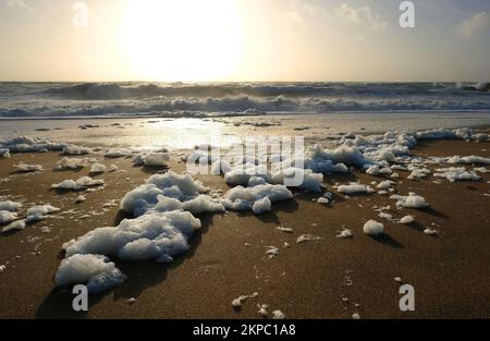 Spane ou mousse de mer formant après une tempête, Gunwalloe, Cornwall, Royaume-Uni - John Gollop Banque D'Images