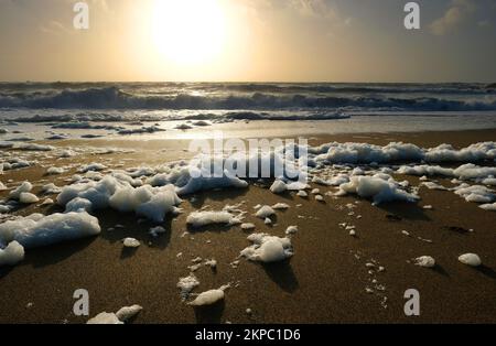 Spane ou mousse de mer formant après une tempête, Gunwalloe, Cornwall, Royaume-Uni - John Gollop Banque D'Images