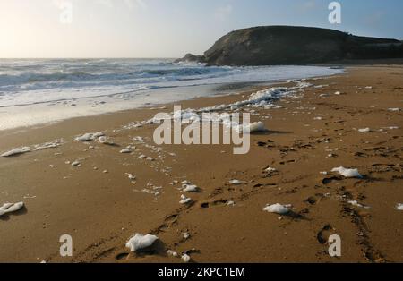 Spane ou mousse de mer formant après une tempête, Gunwalloe, Cornwall, Royaume-Uni - John Gollop Banque D'Images