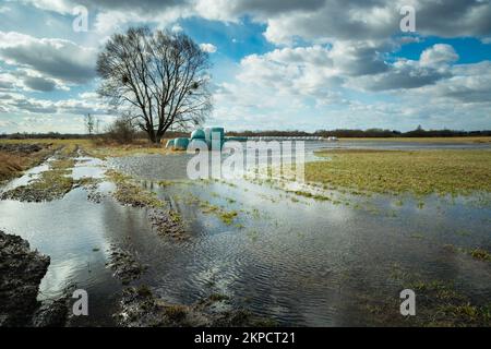 Un pré inondé après la fonte de la neige, un grand arbre et un ciel clair, Noviny, Pologne Banque D'Images