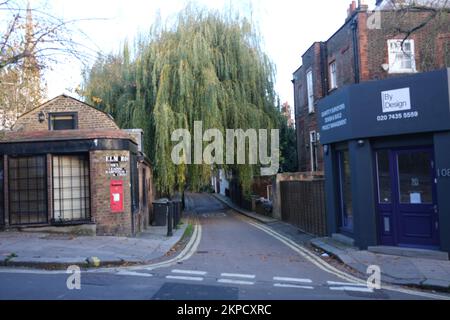 Un bel arbre de saule surplombe une rue étroite à Hampstead, au nord de Londres, semblant être suspendu en l'air. Une boîte aux lettres rouge ajoute une touche de couleur Banque D'Images