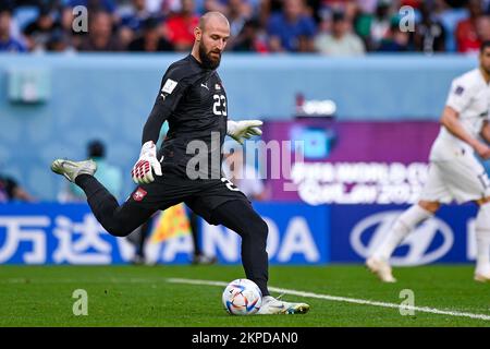 Al Wakrah, Qatar. 28th novembre 2022. AL WAKRAH, QATAR - NOVEMBRE 28 : Vanja Milinkovic-Savic de Serbie pendant le groupe G - coupe du monde de la FIFA Qatar 2022 match entre le Cameroun et la Serbie au stade Al Janoub sur 28 novembre 2022 à Al Wakrah, Qatar (photo de Pablo Morano/BSR Agency) crédit : BSR Agency/Alay Live News Banque D'Images