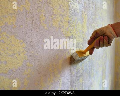 appliquer un apprêt sur le mur pendant le processus de réparation avec une brosse dans la main du peintre et copier l'espace à gauche, en amorçant la surface du mur avant Banque D'Images