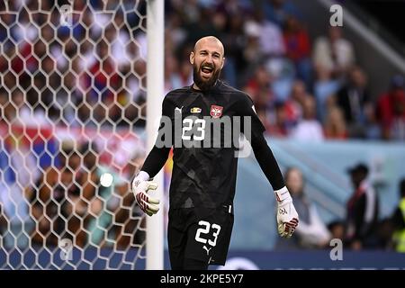 Al Janoub, Qatar. 28th novembre 2022. Foto Fabio Ferrari/Lapresse 28 novembre 2022 Al Janoub Stadium, Qatar - Sport - Calcio - Qatar 2022 - Coppa del Mondo Fifa - Camerun vs Serbie - Gruppo G - Fase a Gironi - . Nella foto:Dmitrovic Marko Stade 28 novembre 2022 Al Janoub, Qatar - sport - football - Qatar 2022- coupe du monde de la Fifa - Cameroun / Serbie - Groupe G - scène de groupe - . Dans le pic: Dmitrovic Marko/ PRESSINPHOTO Credit: PRESSINPHOTO SPORTS AGENCY/Alay Live News Banque D'Images