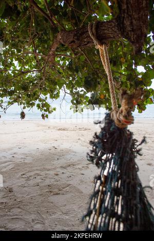 Vue sur la côte sablonneuse depuis le hamac suspendu sous la branche d'arbres tropicaux Banque D'Images