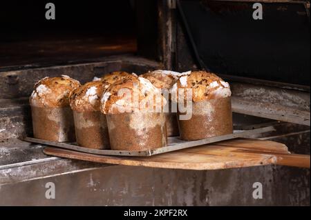 Baker sort du panettone cuit au four. Photographie de haute qualité. Banque D'Images