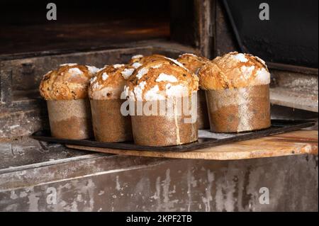 Baker sort du panettone cuit au four. Photographie de haute qualité. Banque D'Images