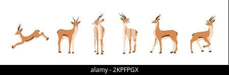 Antilope africaine élégante. Ensemble de gazelles avec cornes sur fond blanc. Animal mammifère. Illustration vectorielle de style dessin animé plat Illustration de Vecteur