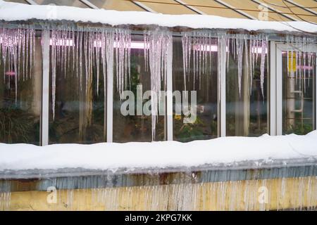 Vieux bâtiment en serre avec des glaçons suspendus du toit pendant les cycles de gel et de dégel en hiver Banque D'Images