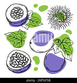 ENSEMBLE DE FRUITS DE LA PASSION délicieux Dillicacy entier et des tranches avec des feuilles pour la conception de produits naturels biologiques Boutique et des boissons de dessert dans Sketch style Vecto Illustration de Vecteur
