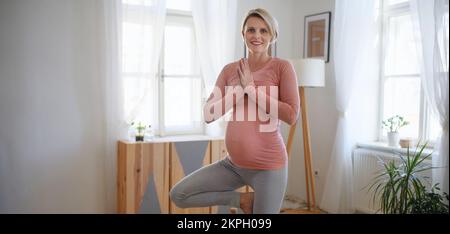 Femme enceinte faisant des exercices dans son appartement. Banque D'Images