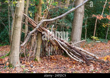 Farnham Common, Buckinghamshire, Royaume-Uni. 28th novembre 2022. C'était une journée ensoleillée car les gens étaient dehors en appréciant le temps marchant à Burnham Beeches. Les magnifiques bois, célèbres pour ses chênes et ses hêtres, appartiennent à la City of London Corporation. Les terres boisées sont un site d'intérêt scientifique spécial ainsi qu'une réserve naturelle nationale. Crédit : Maureen McLean/Alay Live News Banque D'Images