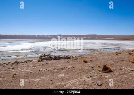 Véhicule touristique à quatre roues motrices passant par l'exploitation minière borax sur Salar de Chalviri (Chalviri Salt Flat) dans la réserve nationale de faune andine Eduardo Avaroa, su Banque D'Images