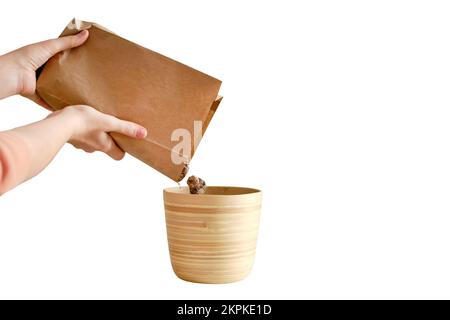Une femme fleuriste verse un drainage pour planter des plantes dans un pot de fleurs, isolé sur un fond blanc. Préparation pour la plantation d'une maison, brique blanche Banque D'Images