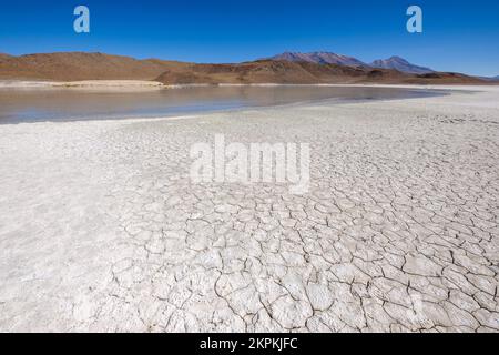 Sol fissuré sur Laguna Honda à Nor Lipez, département de Potosi, Bolivie Banque D'Images