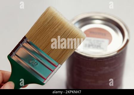 Girl master tient une grande brosse épaisse neuve pour appliquer le vernis sur les meubles sur le fond d'une boîte de vernis brun. Une telle brosse peint le Banque D'Images