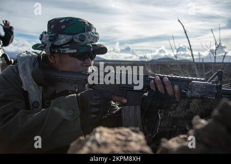 Les soldats de l'INT qui jouent la force adverse sécurisent la zone d'entraînement sur le terrain d'entraînement de Pohakuloa, le 1 novembre 2022. Le JPMRC 23-01 établit des partenariats efficaces avec un large éventail de forces dominantes sur terre ; la stratégie de défense indo-Asie-Pacifique des États-Unis doit inclure une dimension de forces terrestres bien dotées de ressources, qui semble avoir une influence sur le « domaine humain », souvent négligé mais pourtant critique. Banque D'Images