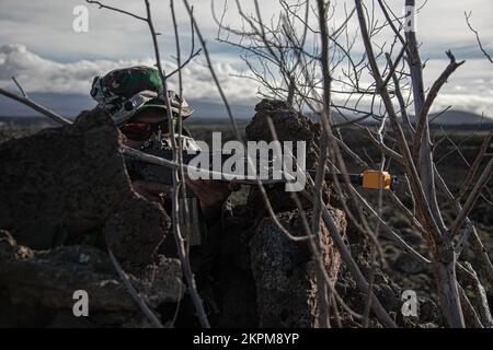 Les soldats de l'INT qui jouent la force adverse sécurisent la zone d'entraînement sur le terrain d'entraînement de Pohakuloa, le 1 novembre 2022. Le JPMRC 23-01 établit des partenariats efficaces avec un large éventail de forces dominantes sur terre ; la stratégie de défense indo-Asie-Pacifique des États-Unis doit inclure une dimension de forces terrestres bien dotées de ressources, qui semble avoir une influence sur le « domaine humain », souvent négligé mais pourtant critique. Banque D'Images