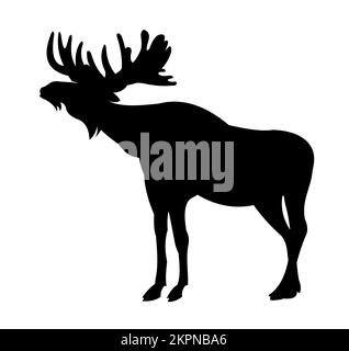 Elk avec gros bois mâle. Silhouette. Animaux sauvages. Isolé sur fond blanc. Vecteur Illustration de Vecteur