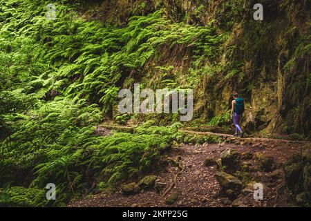 Description: Femme athlétique avec sac à dos marche à travers la jungle aventureuse chemin le long du canal d'eau. Levada de Caldeirão Verde, île de Madère, Portugal Banque D'Images