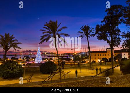Sapin de Noël dans le Parque del Mar, dans la Promenade de Palma. Palma, Majorque, Iles Baléares, Espagne. Banque D'Images