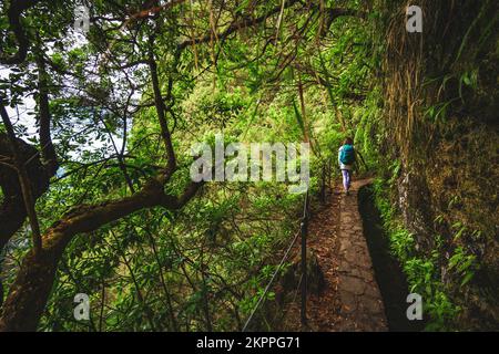 Description: Femme athlétique avec des promenades à dos à la jungle aventureuse chemin le long du canal. Levada de Caldeirão Verde, île de Madère, Portugal, Europe. Banque D'Images