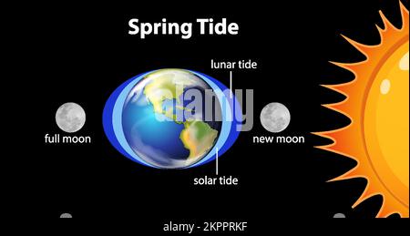 Schéma illustrant les marées du ressort Illustration de Vecteur