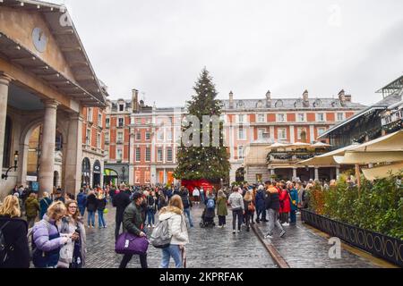 Londres, Royaume-Uni. 27th novembre 2022. Arbre de Noël dans un jardin animé de Covent. Banque D'Images