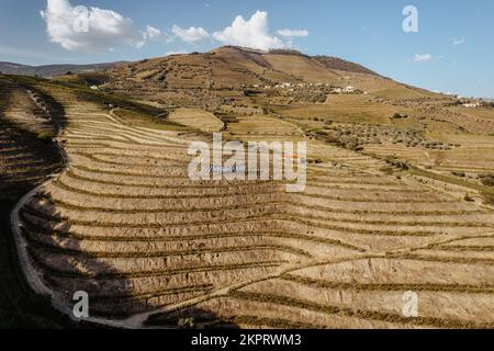 Vue aérienne de la vallée du Douro. Vignobles en terrasse et paysage près de Pinhao, Portugal. Région viticole portugaise. Beau paysage d'automne.concept pour le travail Banque D'Images