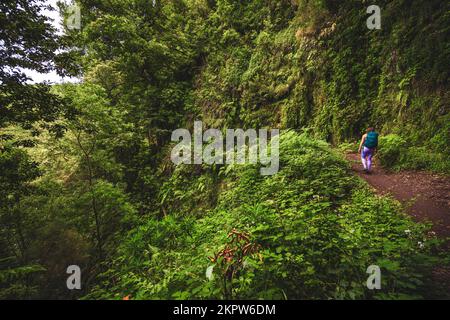 Description: Femme athlétique avec des promenades à dos à la jungle verte aventureuse chemin le long du canal d'eau. Levada de Caldeirão Verde, île de Madère, Portugal Banque D'Images