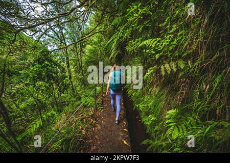 Description: Femme athlétique avec des promenades à dos à la jungle verte aventureuse chemin le long du canal d'eau. Levada de Caldeirão Verde, île de Madère, Portugal Banque D'Images