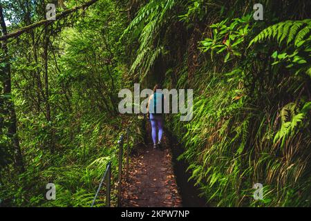 Description: Femme athlétique avec des promenades à dos à la jungle verte aventureuse chemin le long du canal d'eau. Levada de Caldeirão Verde, île de Madère, Portugal Banque D'Images