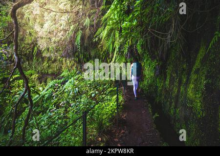 Description: Femme athlétique avec des promenades à dos à la jungle verte aventureuse chemin le long du canal d'eau. Levada de Caldeirão Verde, île de Madère, Portugal Banque D'Images