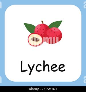 Lychee clip art avec texte, conception plate. Éducation pour les enfants. Illustration vectorielle Illustration de Vecteur