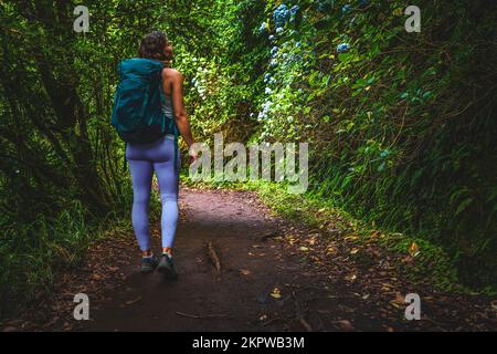 Description: Femme sportive avec sac à dos en admirant de belles fleurs sur le chemin vert de la jungle le long du canal d'eau. Levada de Caldeirão Verde, île de Madère Banque D'Images