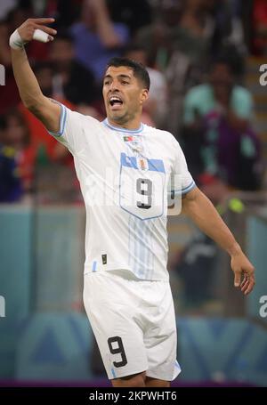 Lusail, Qatar. 28th novembre 2022. Mouvements Luis Suarez en Uruguay lors d'un match de football entre le Portugal et l'Uruguay, dans le groupe H de la coupe du monde FIFA 2022 au stade Lusail, à Lusail, État du Qatar, le lundi 28 novembre 2022. BELGA PHOTO VIRGINIE LEFOUR crédit: Belga News Agency/Alay Live News Banque D'Images