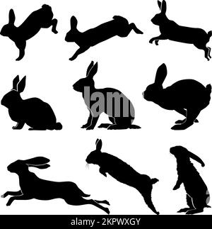 Icône d'ensemble de vecteurs silhouette de lapin. Ensemble de dessins animés isolé icône animal.Vector illustration lapin sur fond blanc. Illustration de Vecteur