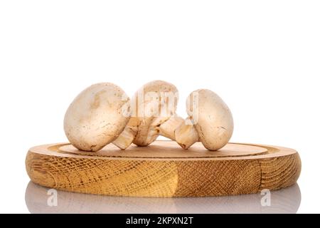 Plusieurs champignons champignons frais bio entiers sur un plateau rond en bambou, gros plan, sur fond blanc. Banque D'Images